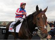 15 September 2012; Jockey Niall McCullagh after winning the Gain Horse Feeds Irish St. Leger aboard Royal Diamond. Curragh Racecourse, the Curragh, Co. Kildare. Photo by Sportsfile