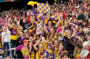 16 September 2012; Wexford fans during the game. All-Ireland Senior Camogie Championship Final, Cork v Wexford, Croke Park, Dublin. Photo by Sportsfile
