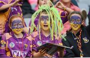 16 September 2012; Wexford fans during the game. All-Ireland Senior Camogie Championship Final, Cork v Wexford, Croke Park, Dublin. Photo by Sportsfile