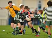 22 September 2012; Half-Time Mini Games at Leinster v Edinburgh. Celtic League 2012/13, Round 4, Leinster v Edinburgh, RDS, Ballsbridge, Dublin. Picture credit: Barry Cregg / SPORTSFILE