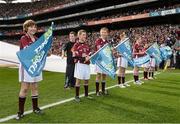 30 September 2012; A general view of flagbearers before the start of the game. GAA Hurling All-Ireland Senior Championship Final Replay, Kilkenny v Galway, Croke Park, Dublin. Picture credit: David Maher / SPORTSFILE