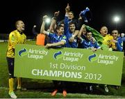 6 October 2012; Limerick FC players celebrate after winning the Airtricity League First Division title. Airtricity League First Division, Longford Town v Limerick, Strokestown Road, Co. Longford. Picture credit: David Maher / SPORTSFILE