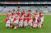 10 October 2012; Pictured at the Kellogg’s Cúl Dream Day Out in Croke Park are the under 10 football group. 82,000 children participated in Kellogg's GAA Cúl Camps in 2012, an increase of almost 6% on 2011, proving that the camps are one of the most popular summer camps, selected by Irish families. Over 1,000 clubs throughout the country hosted Kellogg's GAA Cúl Camps, during the summer of 2012, with the highest numbers participating in GAA strongholds like Dublin, Cork, Galway, Limerick and Kildare. Counties like Meath, Westmeath and Longford also saw a huge surge in camp registrations with numbers up by 41% in Meath, 34% in Westmeath, 21% in Mayo, 20% in Longford and 8% in Donegal. Croke Park, Dublin. Picture credit: Barry Cregg / SPORTSFILE