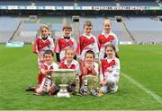 10 October 2012; Pictured at the Kellogg’s Cúl Dream Day Out in Croke Park are the under 8 football group. 82,000 children participated in Kellogg's GAA Cúl Camps in 2012, an increase of almost 6% on 2011, proving that the camps are one of the most popular summer camps, selected by Irish families. Over 1,000 clubs throughout the country hosted Kellogg's GAA Cúl Camps, during the summer of 2012, with the highest numbers participating in GAA strongholds like Dublin, Cork, Galway, Limerick and Kildare. Counties like Meath, Westmeath and Longford also saw a huge surge in camp registrations with numbers up by 41% in Meath, 34% in Westmeath, 21% in Mayo, 20% in Longford and 8% in Donegal. Croke Park, Dublin. Picture credit: Barry Cregg / SPORTSFILE