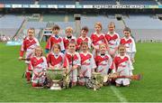 10 October 2012; Pictured at the Kellogg’s Cúl Dream Day Out in Croke Park are the under 8 hurling group. 82,000 children participated in Kellogg's GAA Cúl Camps in 2012, an increase of almost 6% on 2011, proving that the camps are one of the most popular summer camps, selected by Irish families. Over 1,000 clubs throughout the country hosted Kellogg's GAA Cúl Camps, during the summer of 2012, with the highest numbers participating in GAA strongholds like Dublin, Cork, Galway, Limerick and Kildare. Counties like Meath, Westmeath and Longford also saw a huge surge in camp registrations with numbers up by 41% in Meath, 34% in Westmeath, 21% in Mayo, 20% in Longford and 8% in Donegal. Croke Park, Dublin. Picture credit: Barry Cregg / SPORTSFILE