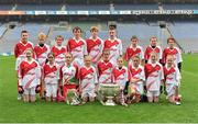 10 October 2012; Pictured at the Kellogg’s Cúl Dream Day Out in Croke Park are the under 12 football group. 82,000 children participated in Kellogg's GAA Cúl Camps in 2012, an increase of almost 6% on 2011, proving that the camps are one of the most popular summer camps, selected by Irish families. Over 1,000 clubs throughout the country hosted Kellogg's GAA Cúl Camps, during the summer of 2012, with the highest numbers participating in GAA strongholds like Dublin, Cork, Galway, Limerick and Kildare. Counties like Meath, Westmeath and Longford also saw a huge surge in camp registrations with numbers up by 41% in Meath, 34% in Westmeath, 21% in Mayo, 20% in Longford and 8% in Donegal. Croke Park, Dublin. Picture credit: Barry Cregg / SPORTSFILE