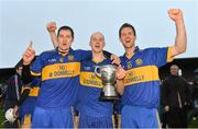 28 October 2012; Newmarket-on-Fergus players, and brothers, from left to right, Enda, Alan and David Barrett celebrate with the cup after victory over Cratloe. Clare County Senior Hurling Championship Final, Newmarket-on-Fergus v Cratloe, Cusack Park, Ennis, Co. Clare. Picture credit: Diarmuid Greene / SPORTSFILE