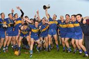 28 October 2012; Newmarket-on-Fergus players celebrate with the cup after victory over Cratloe. Clare County Senior Hurling Championship Final, Newmarket-on-Fergus v Cratloe, Cusack Park, Ennis, Co. Clare. Picture credit: Diarmuid Greene / SPORTSFILE