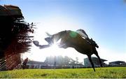 15 November 2012; Dushybeag, with Adrian Heskin up, jump the last on their way to winning the I.N.H. Stallion Owners European Breeders Fund Maiden Hurdle. Powerstown Park, Clonmel, Co. Tipperary. Picture credit: Matt Browne / SPORTSFILE