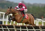 18 November 2012; Road To Riches, with Davy Russell up, jump the last on their way to winning the I.N.H. Stallion Owners European Breeders Fund Maiden Hurdle. Punchestown Racecourse, Punchestown, Co. Kildare. Picture credit: Barry Cregg / SPORTSFILE