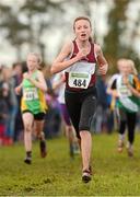 25 November 2012; Ellen Cronon, Mullingar Harriers, Co. Westmeath, on her way to finishing thirtieth in the Girl's Under 14, 3,000m at the Woodie's DIY Juvenile and Inter County Cross Country Championships. Tattersalls, Ratoath, Co. Meath. Photo by Sportsfile