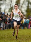 25 November 2012; Christy Conlan on the way to winning the Boy's Under 14, 3,000m at the Woodie's DIY Juvenile and Inter County Cross Country Championships. Tattersalls, Ratoath, Co. Meath. Photo by Sportsfile