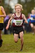 25 November 2012; Conor McHugh, Mullingar Harriers, Co. Westmeath, competing in the Boy's Under 14, 3,000m at the Woodie's DIY Juvenile and Inter County Cross Country Championships. Tattersalls, Ratoath, Co. Meath. Photo by Sportsfile