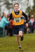 25 November 2012; Paul Martin, Ennis Track A.C., Co. Clare, competing in the Boy's Under 14, 3,000m at the Woodie's DIY Juvenile and Inter County Cross Country Championships. Tattersalls, Ratoath, Co. Meath. Photo by Sportsfile