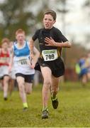 25 November 2012; Donal Farren, Letterkenny A.C., Co. Donegal, competing in the Boy's Under 14, 3,000m at the Woodie's DIY Juvenile and Inter County Cross Country Championships. Tattersalls, Ratoath, Co. Meath. Photo by Sportsfile