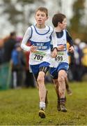 25 November 2012; Patrick Walsh, West Waterford A.C., Co. Waterford, competing in the Boy's Under 14, 3,000m at the Woodie's DIY Juvenile and Inter County Cross Country Championships. Tattersalls, Ratoath, Co. Meath. Photo by Sportsfile