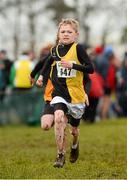 25 November 2012; Colm Murphy, Kilkenny City Harriers A.C., Co. Kilkenny, competing in the Boy's Under 14, 3,000m at the Woodie's DIY Juvenile and Inter County Cross Country Championships. Tattersalls, Ratoath, Co. Meath. Photo by Sportsfile