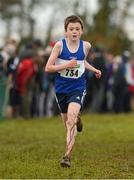 25 November 2012; Adam McGranaghar, Finn Valley A.C., Co. Donegal, competing in the Boy's Under 14 3,000m at the Woodie's DIY Juvenile and Inter County Cross Country Championships. Tattersalls, Ratoath, Co. Meath. Photo by Sportsfile