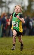 25 November 2012; Liam Hanley, Co. Meath, competing in the Boy's Under 14 3,000m at the Woodie's DIY Juvenile and Inter County Cross Country Championships. Tattersalls, Ratoath, Co. Meath. Photo by Sportsfile