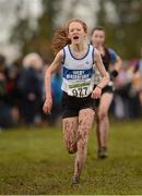 25 November 2012; Aoife Hamilton, West Waterford A.C., Co. Waterford, on her way to finishing third in the Girl's Under 16 4,000m at the Woodie's DIY Juvenile and Inter County Cross Country Championships. Tattersalls, Ratoath, Co. Meath. Photo by Sportsfile