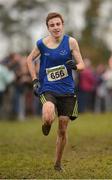 25 November 2012; Pierre Murchant, Celtic Dublin City Harriers A.C., Co. Dublin, on the way to winning the Boy's Under 16 4,000m at the Woodie's DIY Juvenile and Inter County Cross Country Championships. Tattersalls, Ratoath, Co. Meath. Photo by Sportsfile