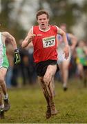 25 November 2012; Billy Mulcahy, Leevale A.C., Co. Cork, competing in the Boy's Under 16 4,000m at the Woodie's DIY Juvenile and Inter County Cross Country Championships. Tattersalls, Ratoath, Co. Meath. Photo by Sportsfile