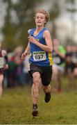 25 November 2012; Bell King, Wicklow, competing in the Boy's Under 16 4,000m at the Woodie's DIY Juvenile and Inter County Cross Country Championships. Tattersalls, Ratoath, Co. Meath. Photo by Sportsfile