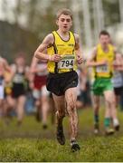 25 November 2012; Jack O'Neill, Omagh Harriers A.C., Co. Tyrone, competing in the Boy's Under 16 4,000m at the Woodie's DIY Juvenile and Inter County Cross Country Championships. Tattersalls, Ratoath, Co. Meath. Photo by Sportsfile