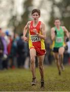 25 November 2012; Eoghan Totten, Newcastle AC, Co. Down, on the way to finishing 3rd in the Junior Men's 6000m at the Woodie's DIY Juvenile and Inter County Cross Country Championships. Tattersalls, Ratoath, Co. Meath. Photo by Sportsfile