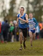 25 November 2012; Kyle Larkin, Emerald A.C., Co. Limerick, competing in the Under 18 Boy's 6000m at the Woodie's DIY Juvenile and Inter County Cross Country Championships. Tattersalls, Ratoath, Co. Meath. Photo by Sportsfile