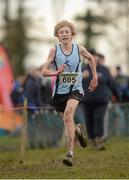 25 November 2012; Ryan Sharkey, Lagan Valley Athletic Club, Co. Antrim, competing in the Under 18 Boy's 6000m at the Woodie's DIY Juvenile and Inter County Cross Country Championships. Tattersalls, Ratoath, Co. Meath. Photo by Sportsfile