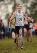25 November 2012; Ian Hartnett, Togher A.C., Co. Cork, competing in the Junior Men's 6000m at the Woodie's DIY Juvenile and Inter County Cross Country Championships. Tattersalls, Ratoath, Co. Meath. Photo by Sportsfile