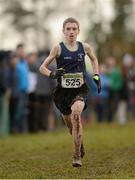 25 November 2012; Dylan Keegan, Templeogue A.C., Co. Dublin, competing in the Under 18 Boy's 6000m at the Woodie's DIY Juvenile and Inter County Cross Country Championships. Tattersalls, Ratoath, Co. Meath. Photo by Sportsfile
