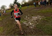 25 November 2012; Natasha Adams, Lifford A.C, Co. Donegal, competing in the Senior Women's 8,000m at the Woodie's DIY Juvenile and Inter County Cross Country Championships. Tattersalls, Ratoath, Co. Meath. Photo by Sportsfile