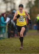 25 November 2012; Gladys Ganiel, North Belfast Harriers, Co. Antrim, competing in the Senior Women's 8,000m at the Woodie's DIY Juvenile and Inter County Cross Country Championships. Tattersalls, Ratoath, Co. Meath. Photo by Sportsfile