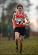25 November 2012; Michael Mulhare, Portlaoise A.C., Co. Laois, on the way to finishing second in the Senior Men's 10,000m at the Woodie's DIY Juvenile and Inter County Cross Country Championships. Tattersalls, Ratoath, Co. Meath. Photo by Sportsfile