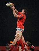 25 November 2012; Ian Nagle, Munster, wins possession in a lineout. Celtic League 2012/13, Round 9, Munster v Scarlets, Musgrave Park, Cork. Picture credit: Diarmuid Greene / SPORTSFILE