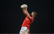 25 November 2012; Billy Holland, Munster, wins possession in a lineout. Celtic League 2012/13, Round 9, Munster v Scarlets, Musgrave Park, Cork. Picture credit: Diarmuid Greene / SPORTSFILE