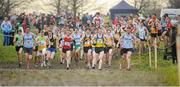 25 November 2012; A general view during the start of the Senior Mens 10,000m race with eventual winner Joe Sweeney, Dublin, 98. Woodie's DIY Juvenile and Inter County Cross Country Championships. Tattersalls, Ratoath, Co. Meath. Picture credit: Tomas Greally / SPORTSFILE