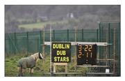 1 January 2012; Equine interest? An unfazed observer of a different kind surveys the scoreboard at the end of the annual Dubs Stars outings. The Dublin footballers¹ reign now officially belongs to another year. Picture credit: David Maher / SPORTSFILE from A Season of Sundays 2012  This image may be reproduced free of charge when used in conjunction with a review of the book &quot;A Season of Sundays 2012&quot;. All other usage © SPORTSFILE