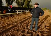 4 December 2012; Trainer Noel Meade during a yard visit ahead of the launch of the Leopardstown Christmas Festival. Ta Vu Stables, Castletown, Navan, Co Meath. Picture credit: David Maher / SPORTSFILE