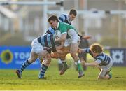 5 December 2012; Andy Marks, Gonzaga College SJ, is tackled by Jack O'Neill, left, Conor O'Shea, centre, and Kyle Dixon, right, Castleknock College. Leinster Schools Rugby Senior League Semi-Final, Gonzaga College SJ v Castleknock College, Lakelands Park, Terenure, Dublin. Picture credit: Barry Cregg / SPORTSFILE