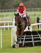 9 December 2012; Pride Ofthe Parish, with Patrick Mullins up, jump the last on their way to winning the 2013 Annual Membership Maiden Hurdle. Punchestown Racecourse, Punchestown, Co. Kildare. Photo by Sportsfile