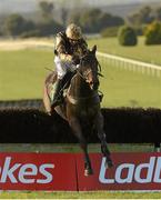 16 December 2012; Boston Bob, with Ruby Walsh up, jumps the last on their way to winning the Irish Stallion Farms European Breeders Fund Beginners Steeplechase. Navan Racecourse, Navan, Co. Meath. Photo by Sportsfile