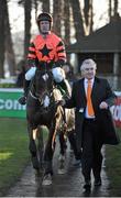 27 December 2012; Jezki, with Robbie Power up, is led into the parade ring by owner Gerard McGrath after winning the Paddy Power Future Champions Novice Hurdle. Leopardstown Christmas Racing Festival 2012, Leopardstown Racetrack, Leopardstown, Co. Dublin. Picture credit: Barry Cregg / SPORTSFILE