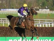 29 December 2012; Lord Windermere, with Tom Doyle up, clears the last on their way to winning the Ballymaloe Country Relish Beginners Steeplechase. Leopardstown Christmas Racing Festival 2012, Leopardstown Racetrack, Leopardstown, Co. Dublin. Picture credit: Pat Murphy / SPORTSFILE