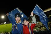 29 December 2012; Leinster supporters Owen Cormac Stott, left, and his brother Donnachadh, from Balbriggan, Co. Dublin, at the game. Celtic League 2012/13, Round 12, Leinster v Connacht, RDS, Ballsbridge, Dublin. Picture credit: David Maher / SPORTSFILE