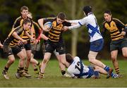 15 January 2013; Conor Hand, St Patricks Classical School, is tackled by Peter Sullivan and Aidan Hetherington, right, St. Andrews College. Fr. Godfrey Cup, St. Andrews College v St Patricks Classical School, Castleknock College, Castleknock, Dublin. Photo by Sportsfile