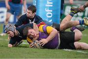 15 January 2013; Ciaran Kavanagh, CBS Wexford, goes over to score his side's fifth try despite the attempts of Dylan Doyle and Conor Cunningham, Ratoath C.C. Senior Development Cup Final, CBS Wexford v Ratoath C.C, Donnybrook Stadium, Donnybrook, Dublin. Picture credit: David Maher / SPORTSFILE