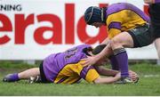 15 January 2013; Mickey Roche, left, CBS Wexford, is congratulated by team-mate Steve Roche after going over to score his side's fourth try. Senior Development Cup Final, CBS Wexford v Ratoath C.C, Donnybrook Stadium, Donnybrook, Dublin. Picture credit: David Maher / SPORTSFILE